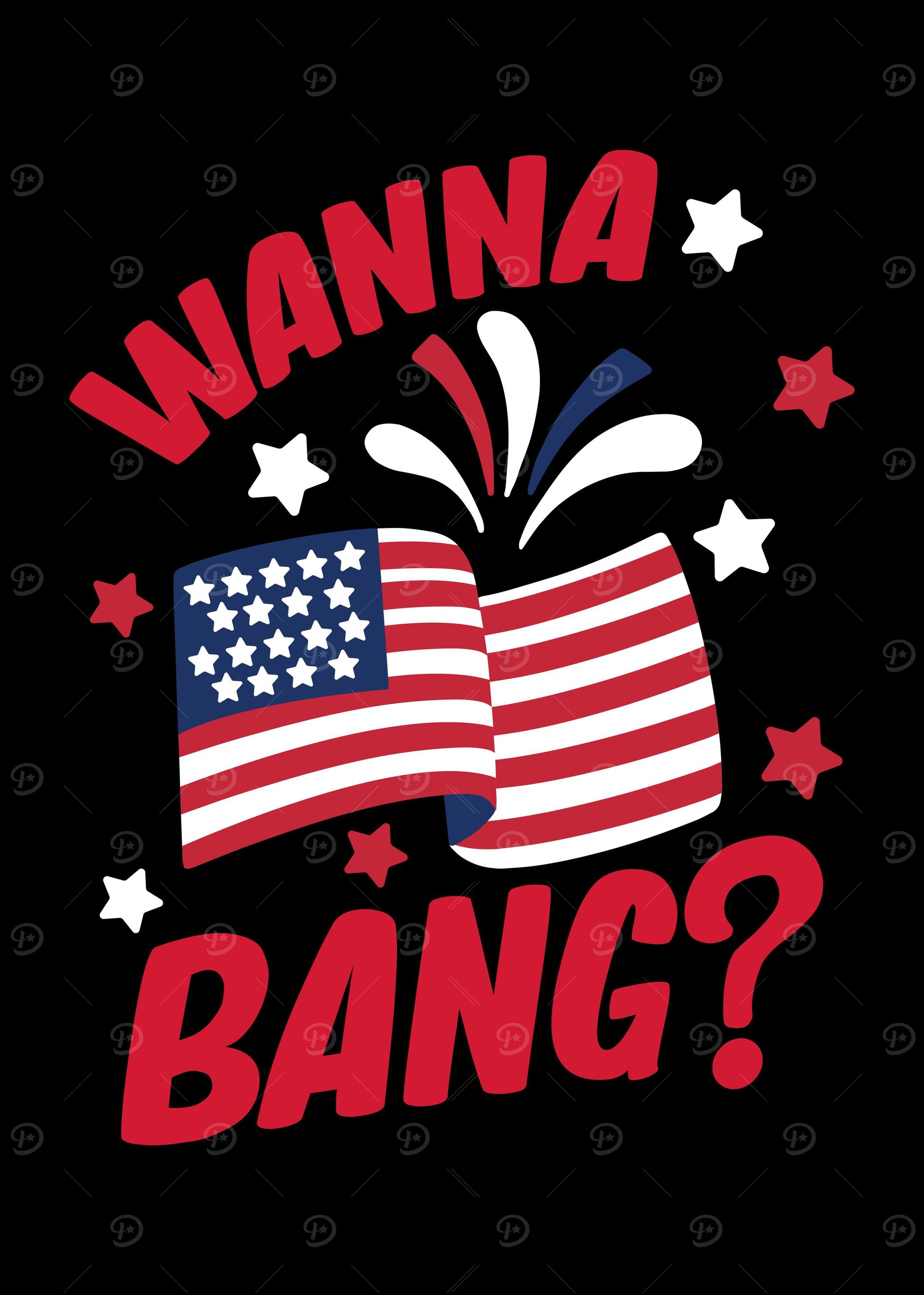 4th July Fireworks USA