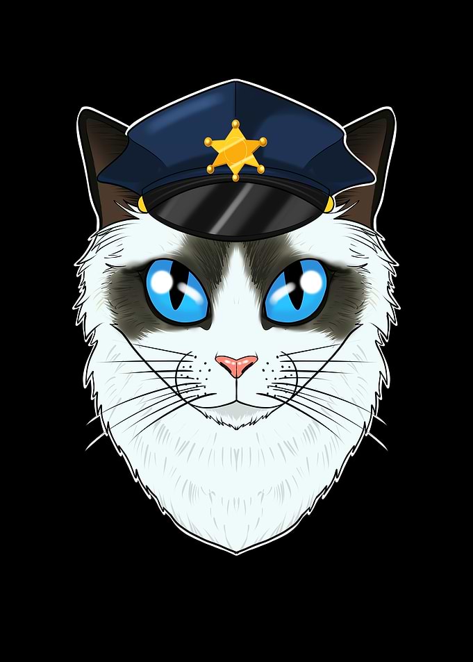 Police Ragdoll Cat