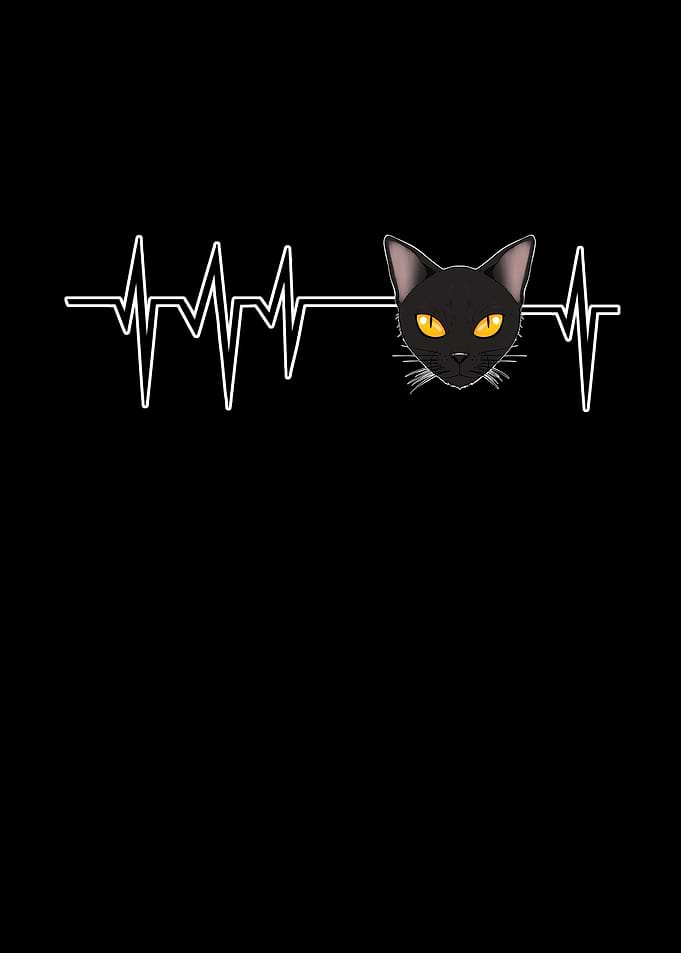 Cat Heartbeat I Bombay Cat