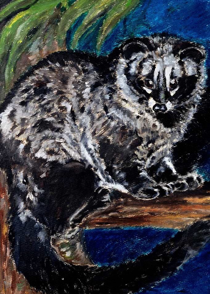 Musang Palm Civet