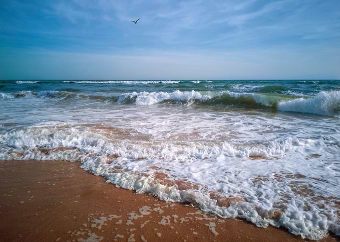 Sandy Sea Beach with Waves