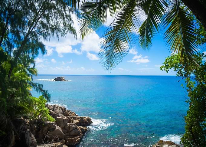Palm Sea Beach