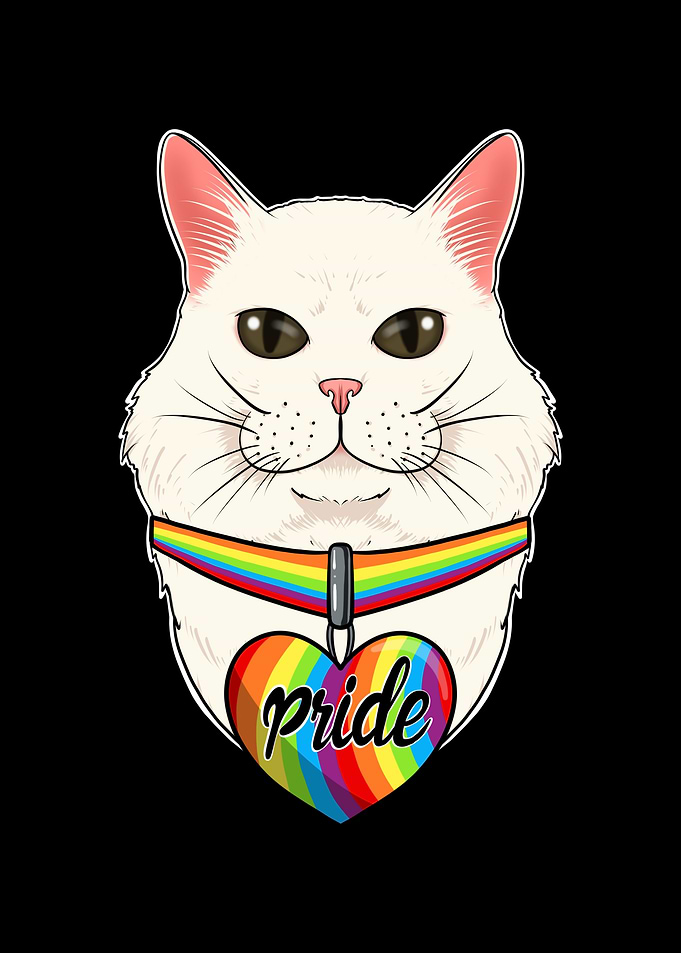 Turkish Angora Cat LGBTQ