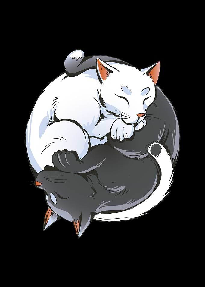 Yin yang cat animals