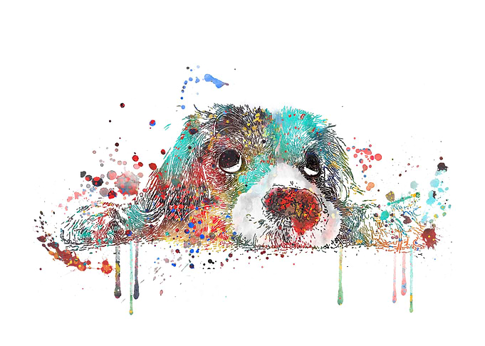Cocker spaniel