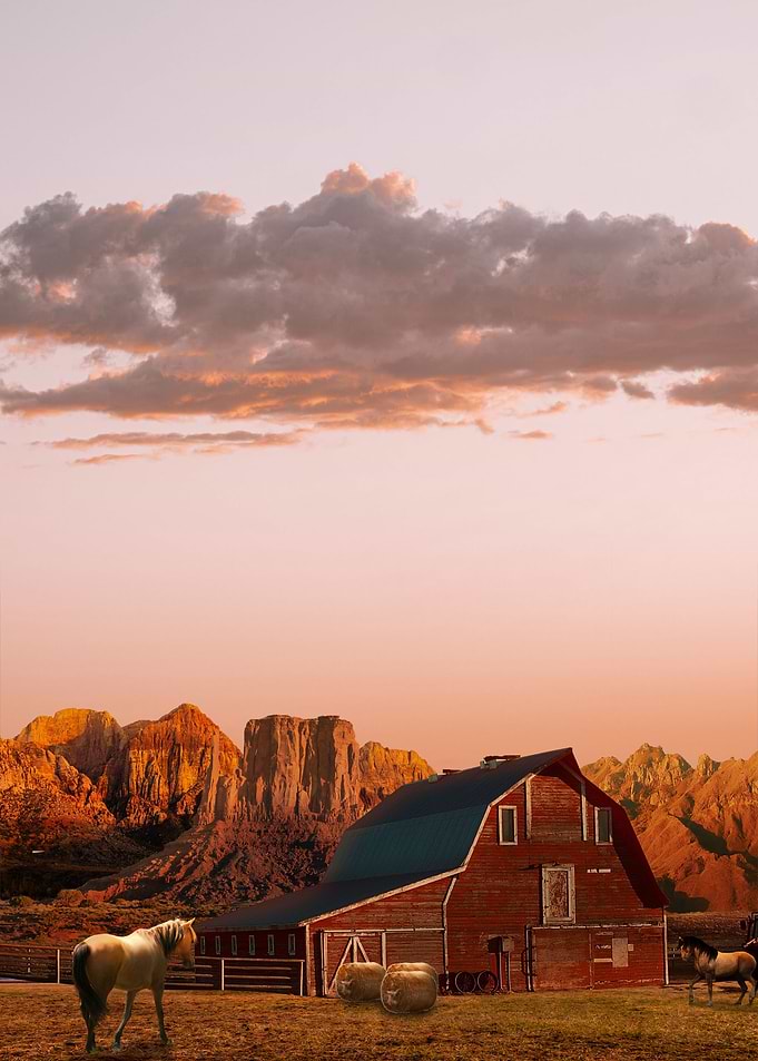 Horse Ranch