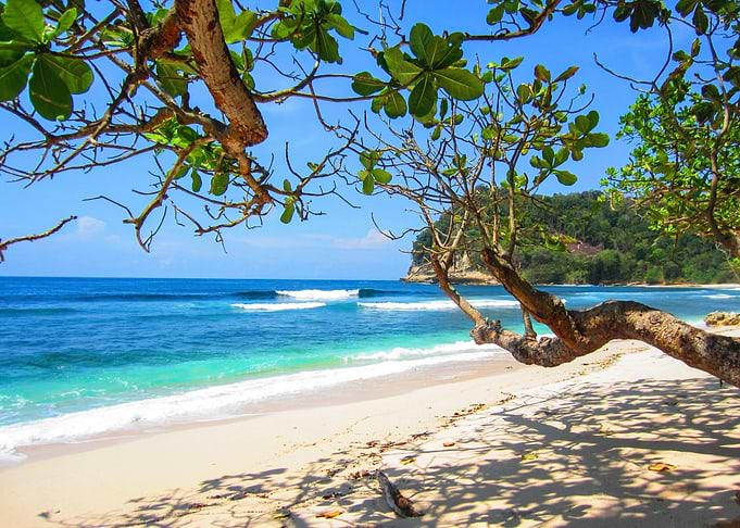 Sandy Sea Beach