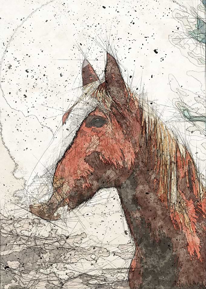 Horse