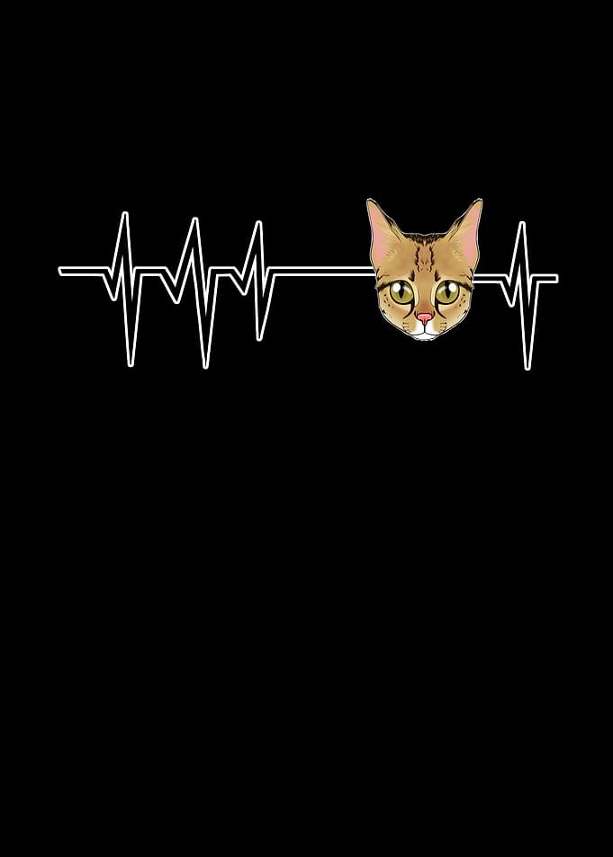 Heartbeat I Savannah Cat