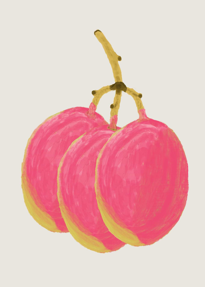 Bunch of Mangoes
