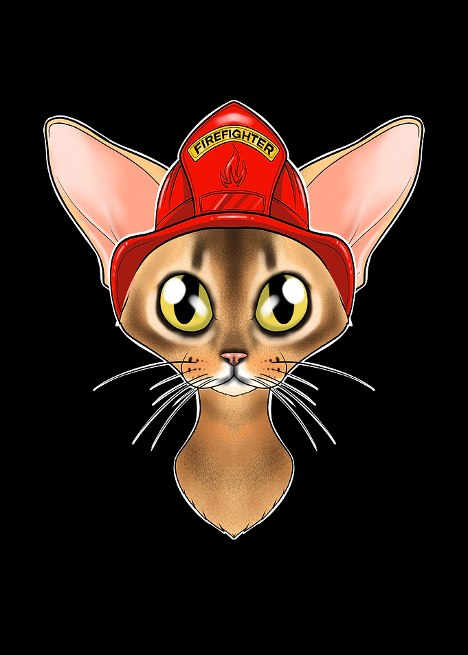 Firefighter Abyssinian Cat