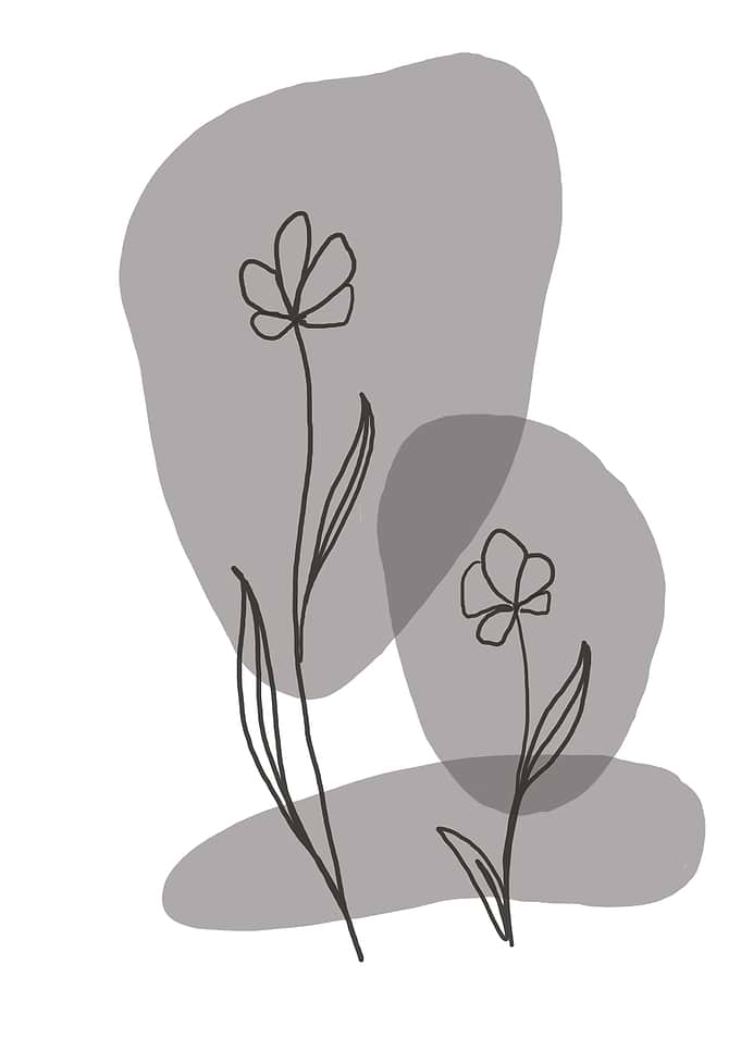Botanical lineal Boho