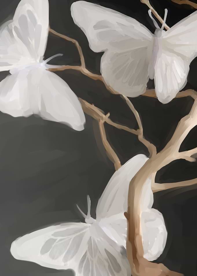 white butterfly