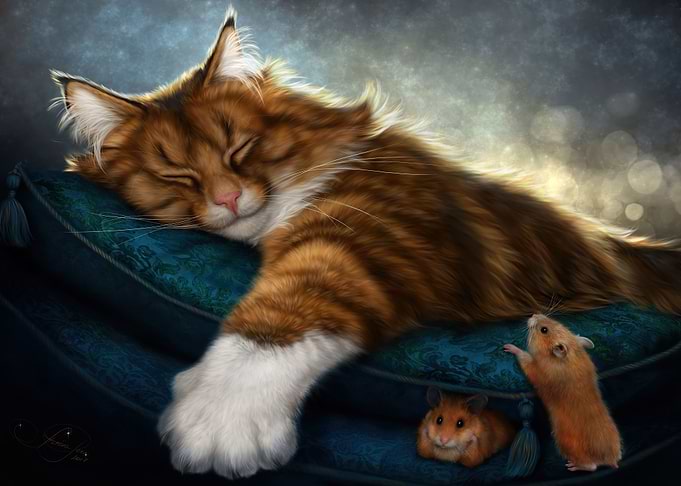 Cat Cute