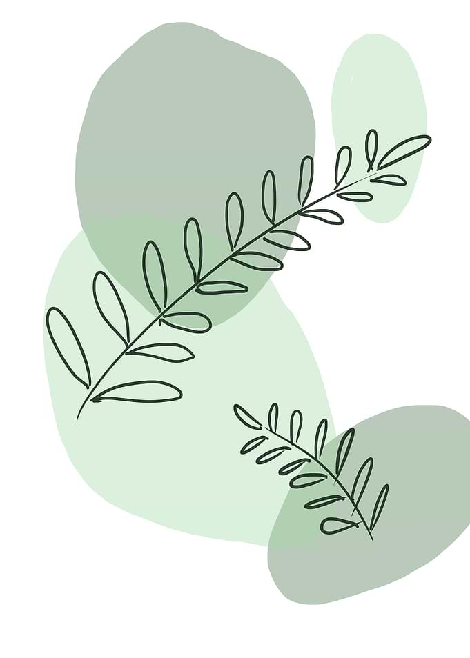 Botanical leaf lineal