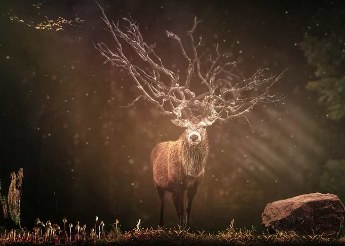 Fantasy Reindeer