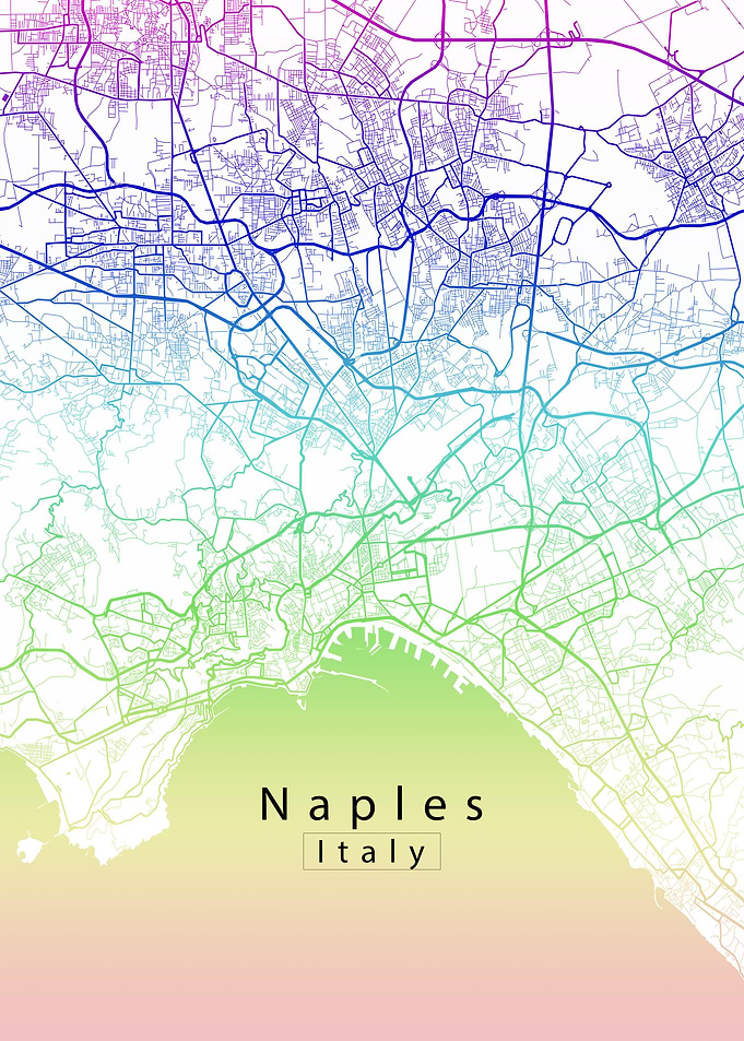 Naples City Map