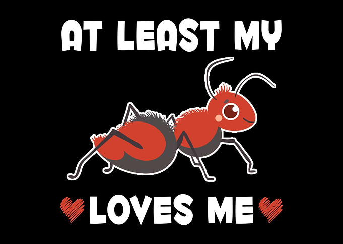 My Ant Loves Me Insect