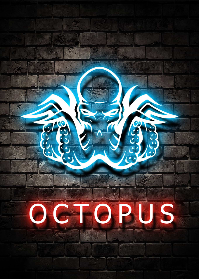 Animal Octopus