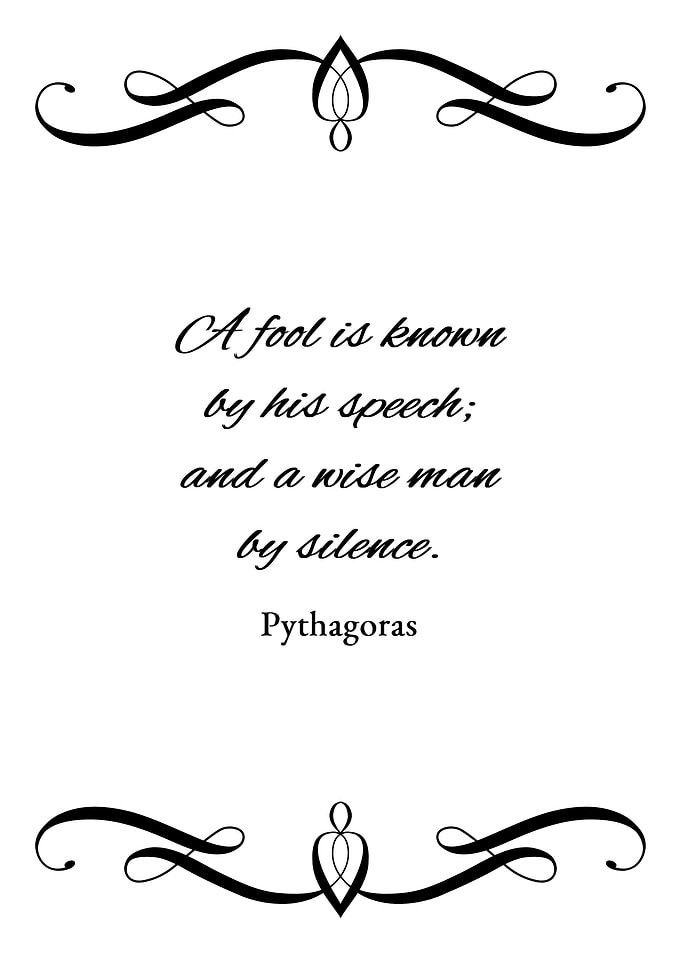 Speech and Silence