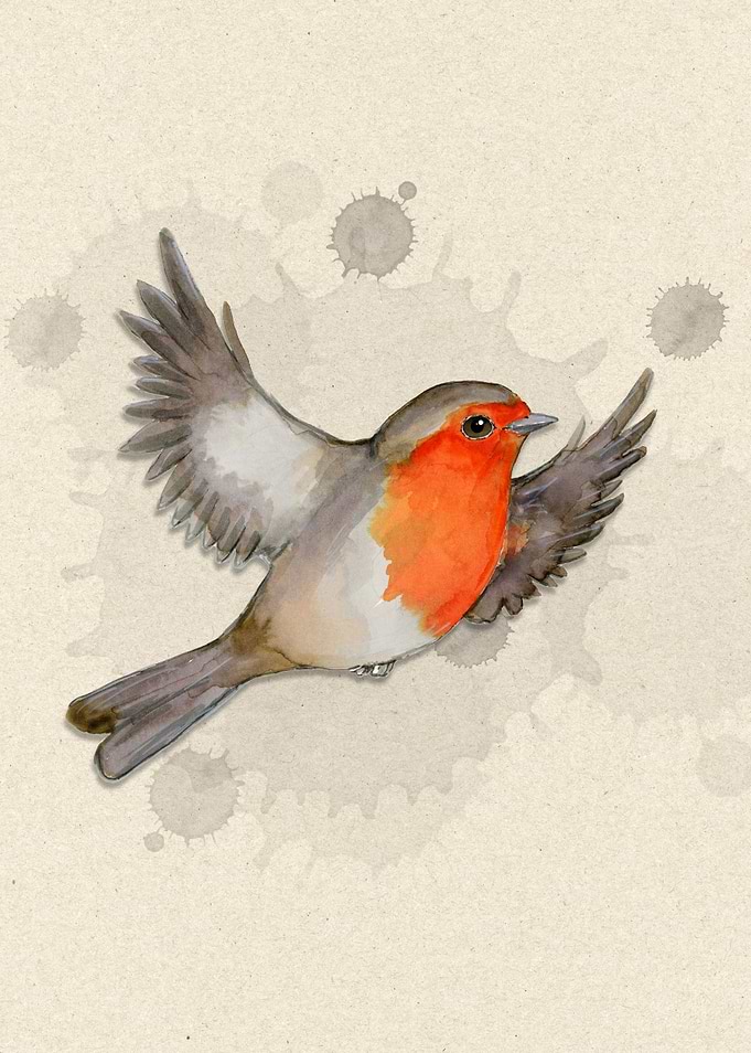 Flying robin