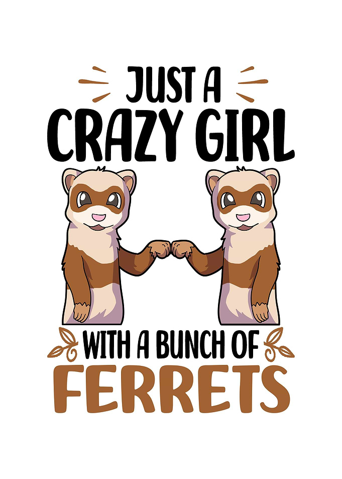 Cute Ferret Ferrets Gifts