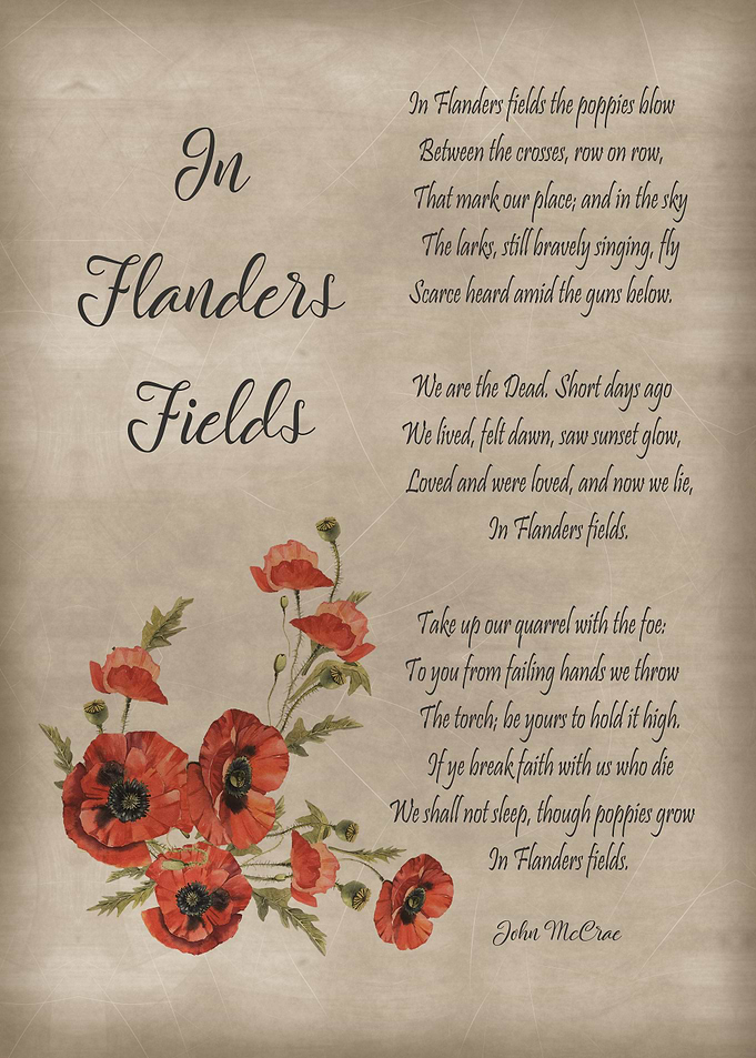 In Flanders Fields Poem