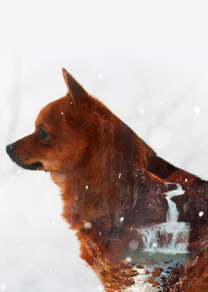 Haru