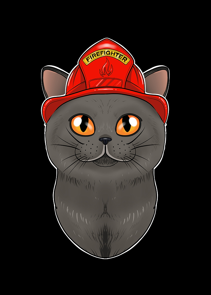 British Shorthair Cat