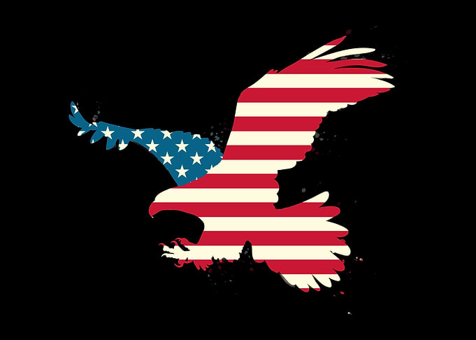 Eagle USA Flag 4th of July