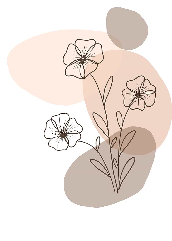 Boho Lineal Flowers