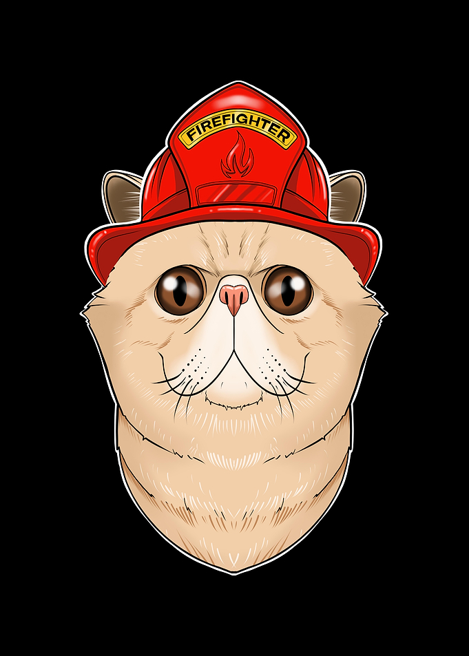 Exotic Shorthair Cat