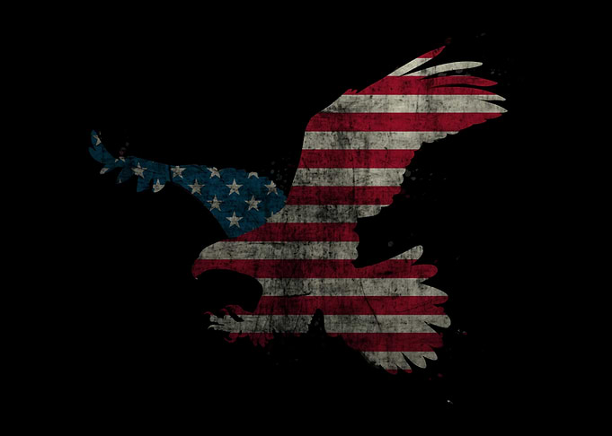 Eagle 4th of July USA