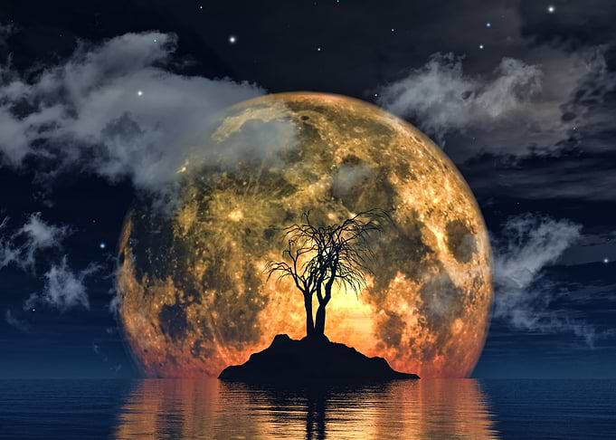 Spooky tree against a big