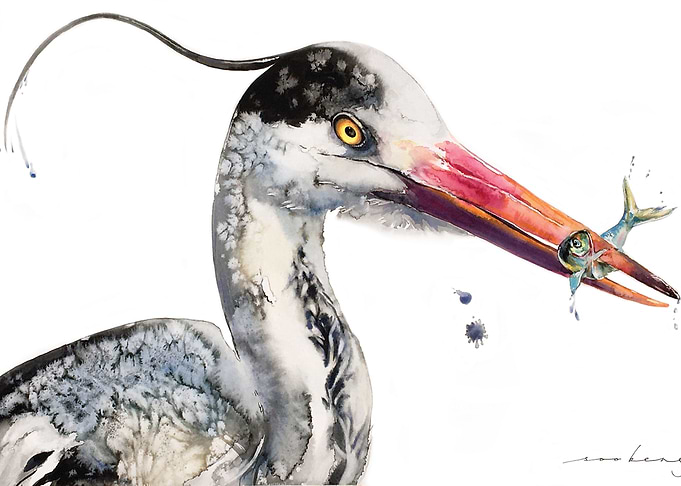 Blue Heron