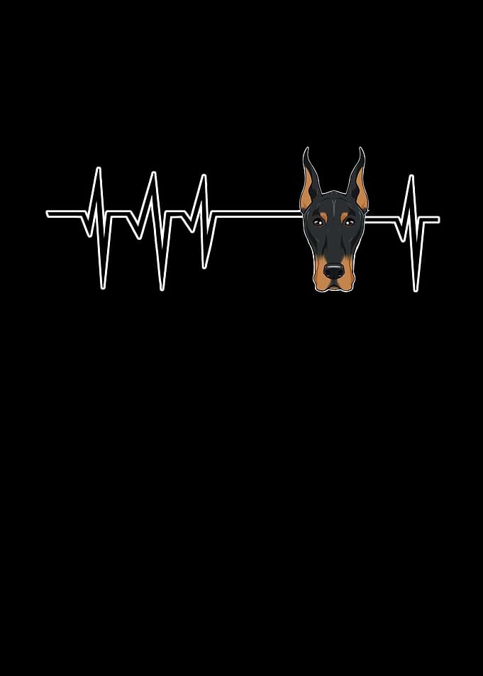 Dog Heartbeat Doberman