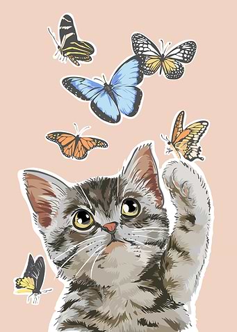 Cat Cool