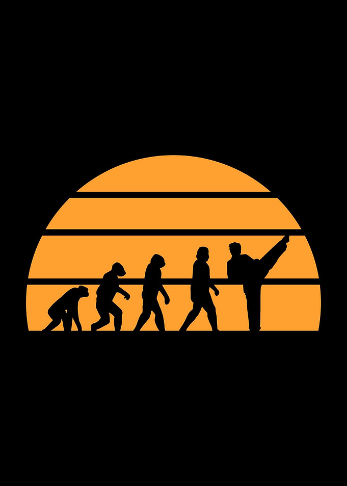 Karate Evolution