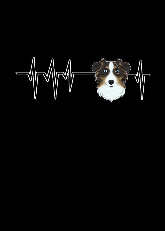 Australian Shepherd Heart