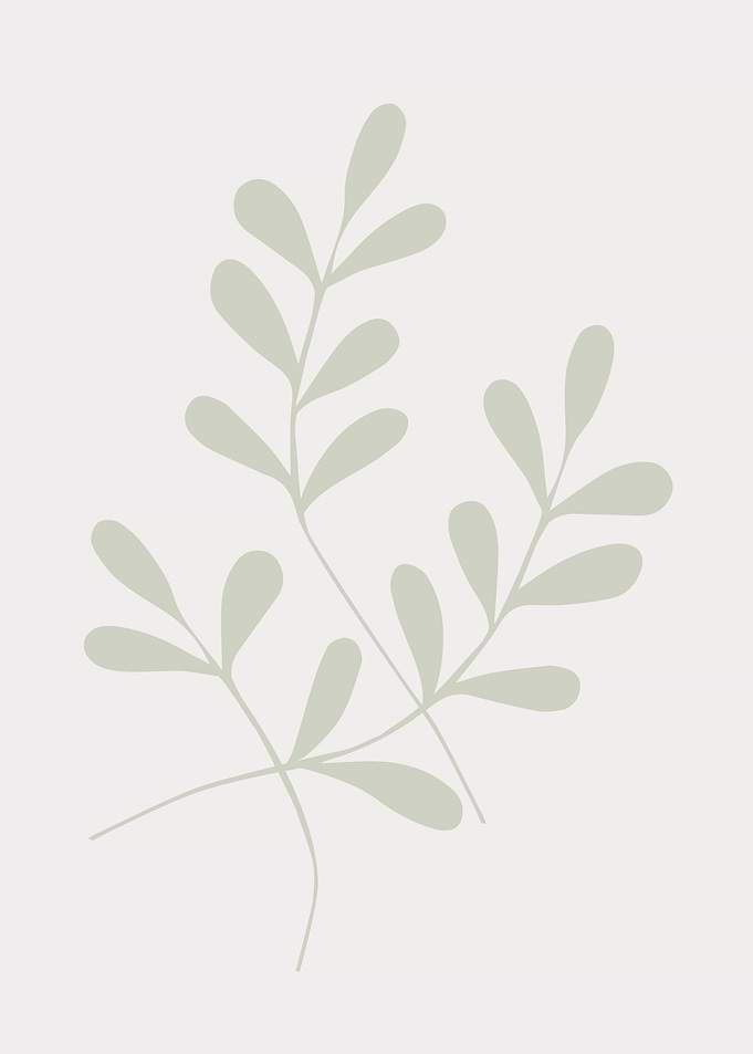 Botanical tropical leaves