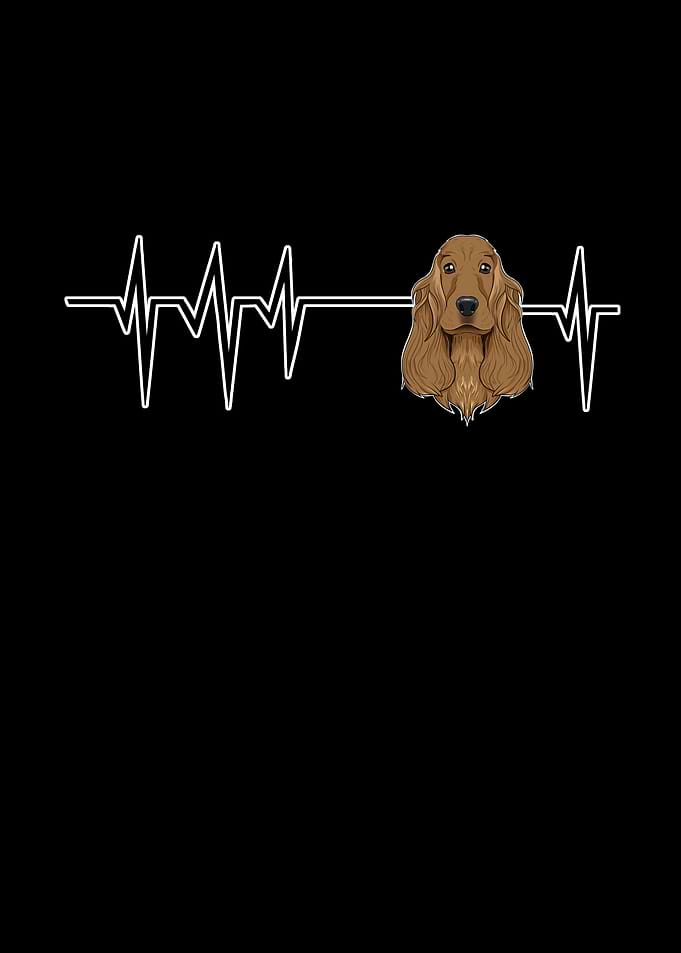 Heartbeat Cocker Spaniel