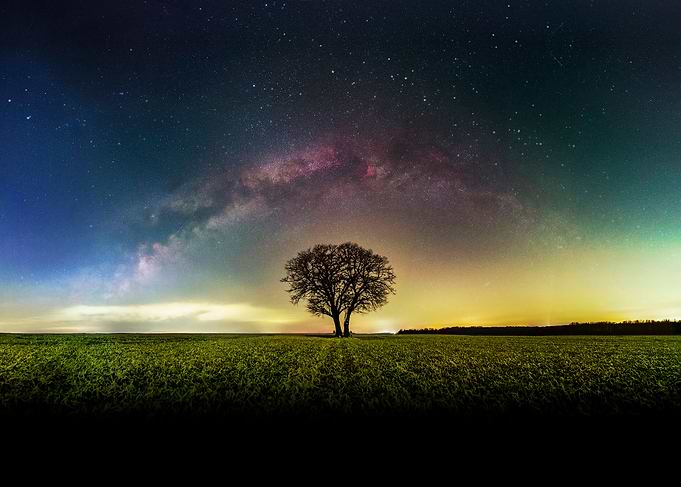 Night sabana cosmos