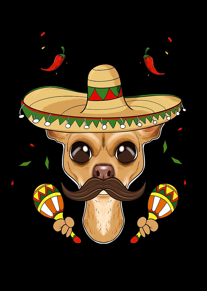 Cinco De Mayo Chihuahua