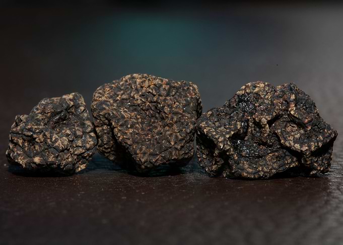 Truffles mushroom close up