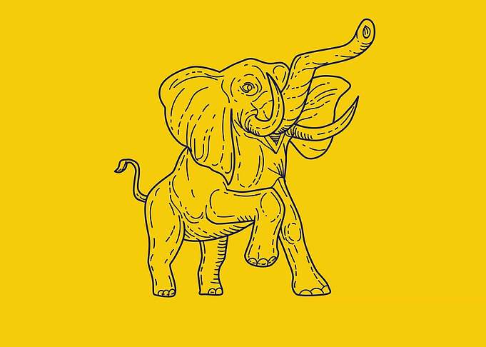 Elephants Illustration