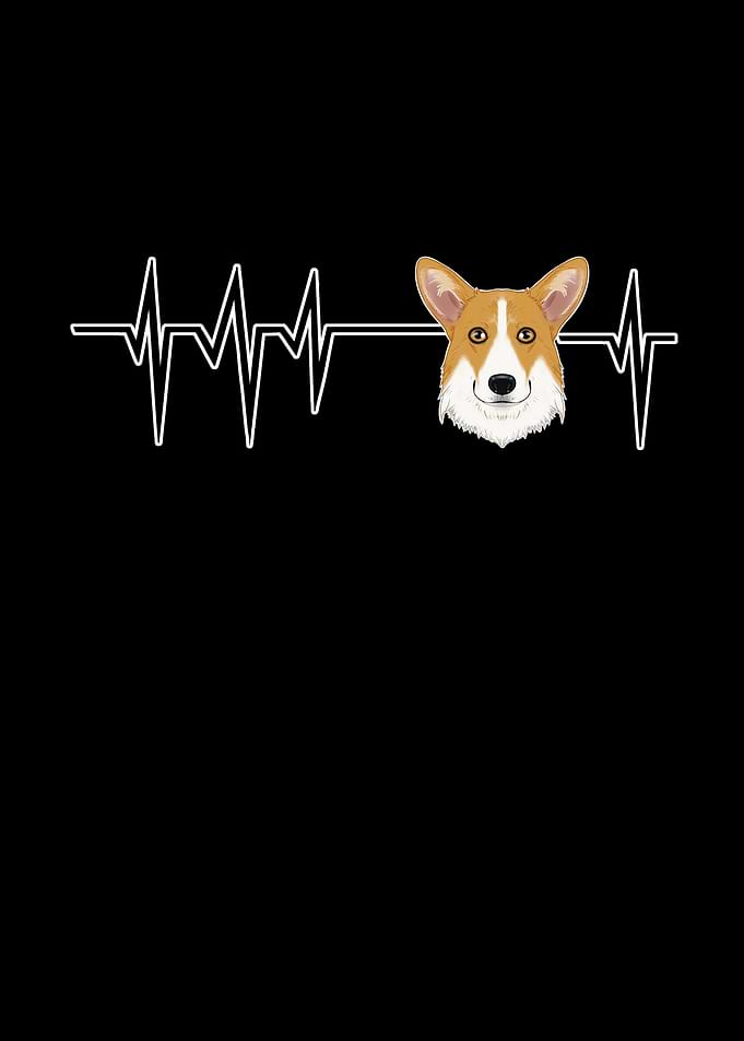 Dog Heartbeat Welsh Corgi