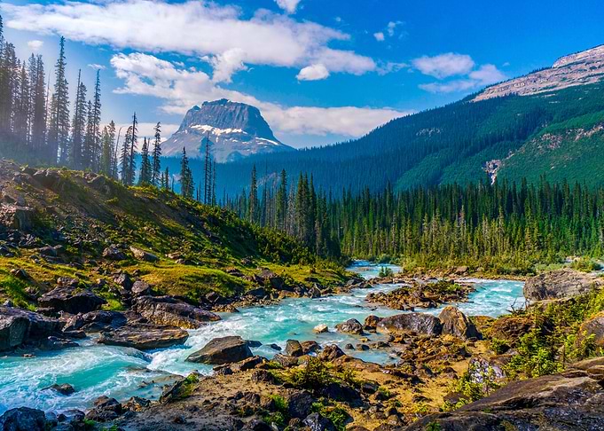 Nature photography