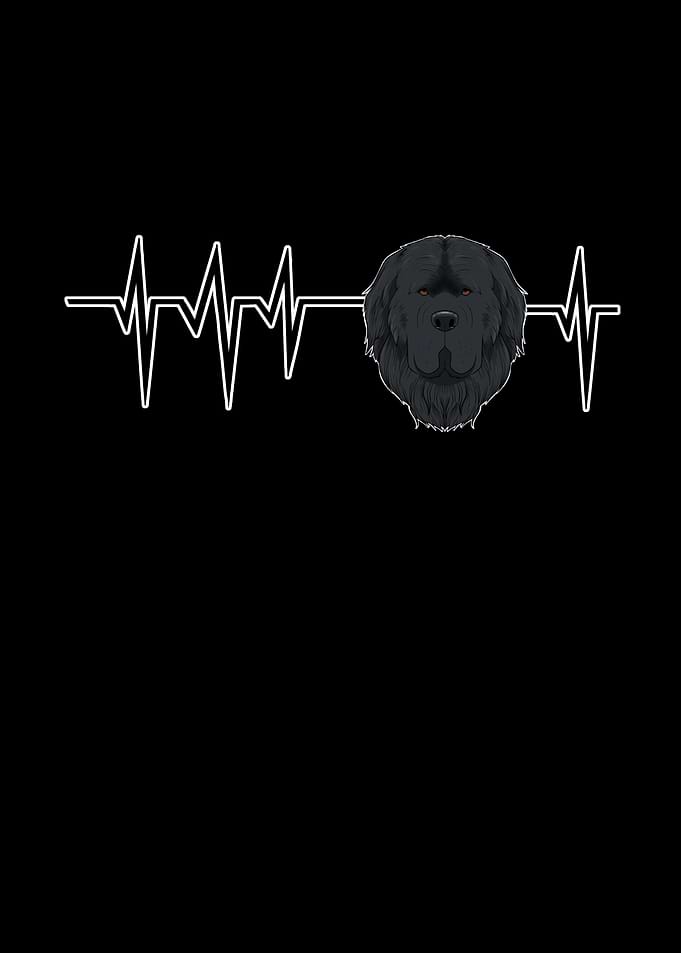 Heartbeat Newfoundland
