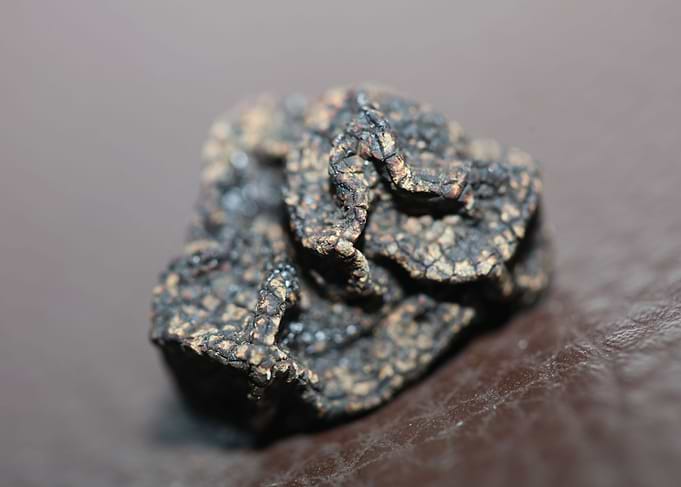 Black truffles close up
