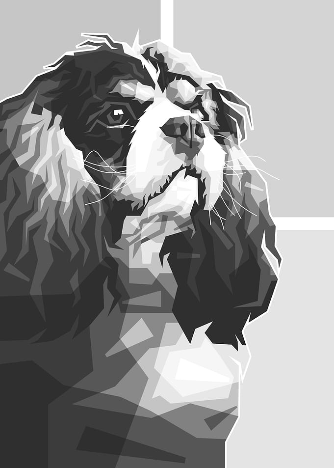 DOGS